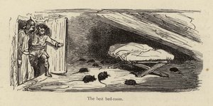 The Best Bedroom by Gustave after Dore